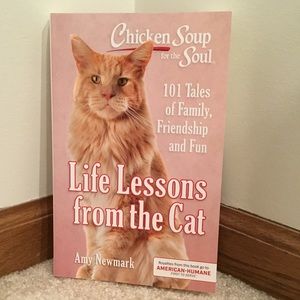 Chicken Soup for the Soul: Life Lessons from the Cat (Paperback)